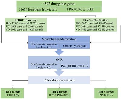 Exploring inflammatory bowel disease therapy targets through druggability genes: a Mendelian randomization study